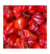 OMS HOT PEPPERS 1LB