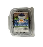 Taste Setter Dried Blueberries 150g