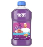Mr.Clean Moonlight Breeze W/Gain 45oz