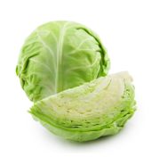 Arya’s Cabbage [Each]