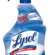 Lysol Bathroom Cleaner Power 22oz