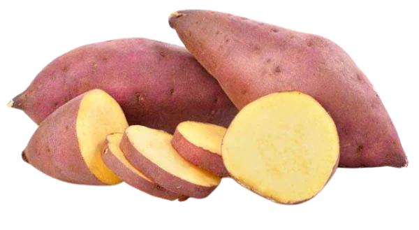 SWEET POTATO