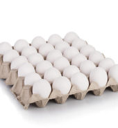 Bakery Tray Eggs Large White