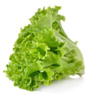 Aryas ‘Local’ Lettuce