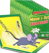 Glue Mouse Traps