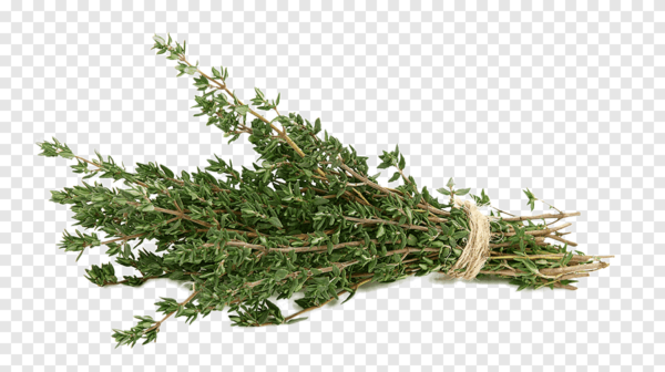 Perishables Fine Leaf Thyme--Production
