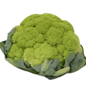 BROCCO FLOWER 1CT