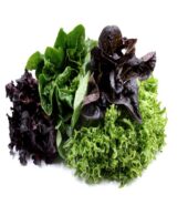 Artisan Lettuce Mix [Each]