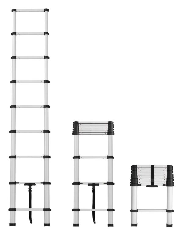 Cosco Telescopic Ladder 1ct