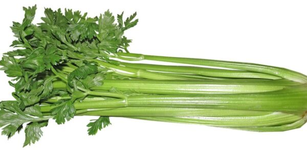 I&S Celery [Each]