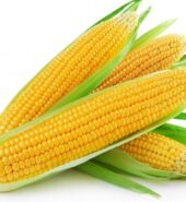 Local Sweet Corn [per kg]