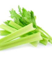 CELERY STALK