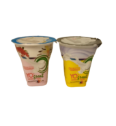Yo’Great Yogurt Assorted 150g