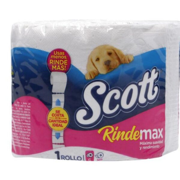 Scott Bath Tissue 24ct 290 shts