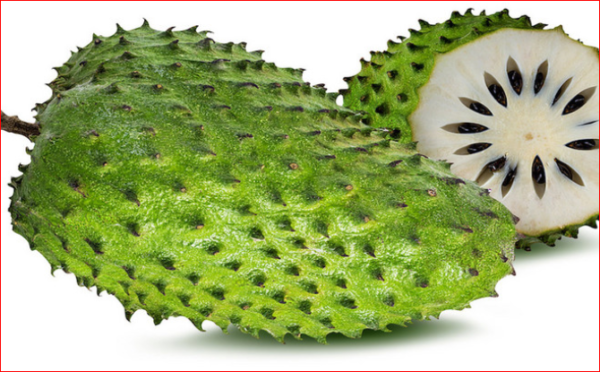 Soursop