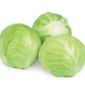 Cabbage Green Foreign