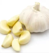 Garlic Jbo
