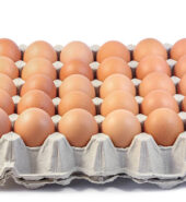 Eggs Paper Tray
