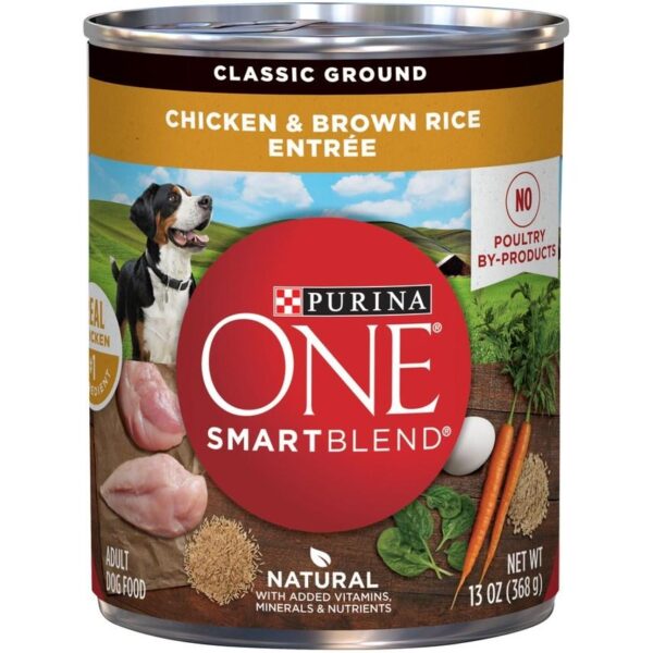 Purina One Smart Blend Chicken & Brown Rice